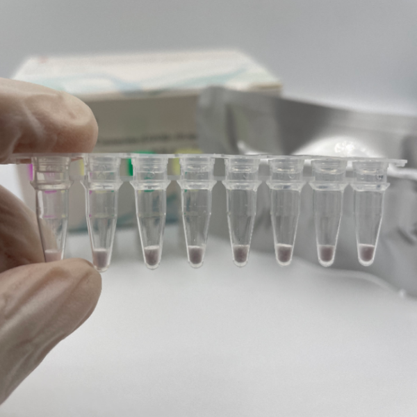 Kit PCR de diagnóstico rápido portátil de alta sensibilidad Nuevo coronavirus liofilizado (COVID-19)